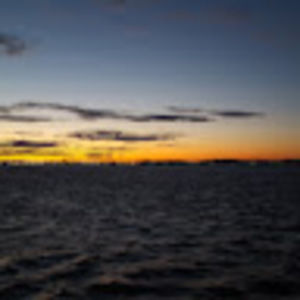 Meet your Posher, Tawanna